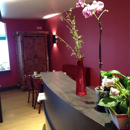 Cit'hotel Du Port Rhu Douarnenez